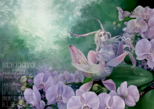 ea53ba23b217619cd6d9b44d26d96d4e